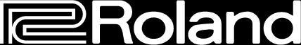 Roland-logo2.jpg